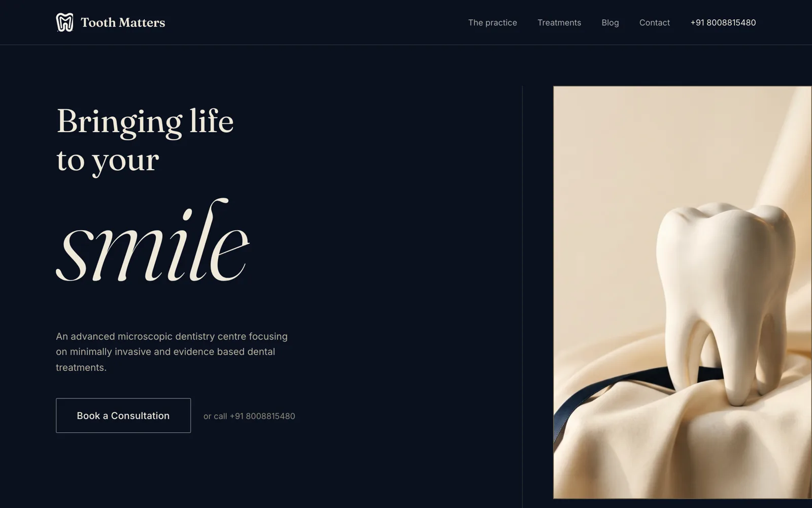 ToothMatters website